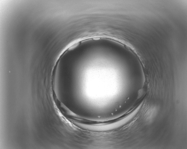 X0000054461534200508051938