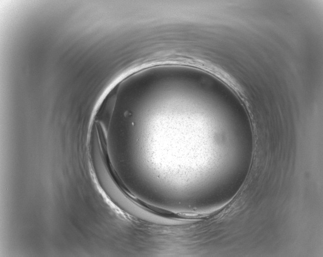 X0000054461536200508051938