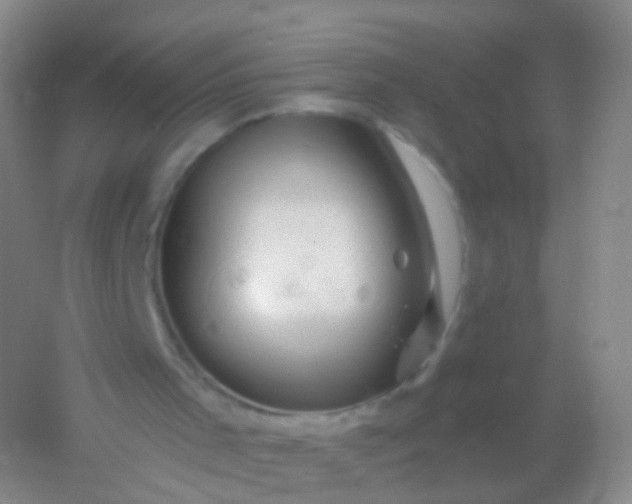 X0000054460001200508121949