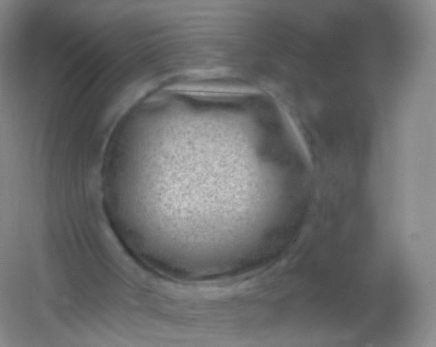 X0000054460002200508121949