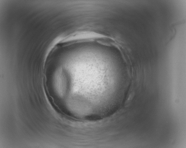 X0000054460003200508121949