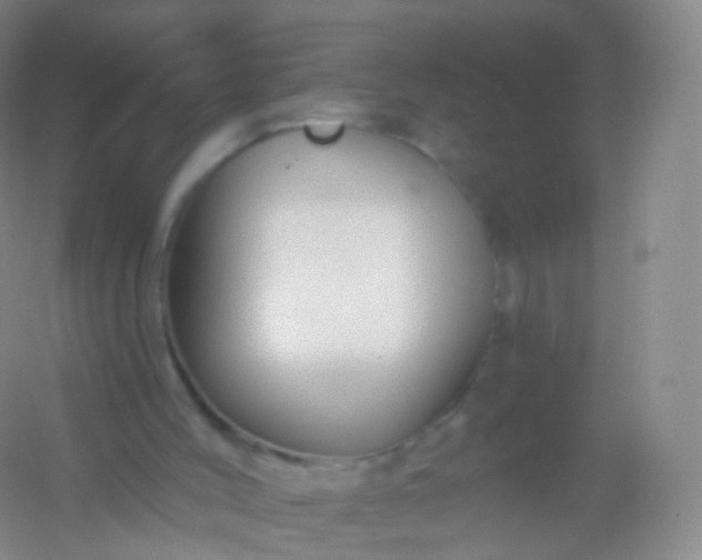 X0000054460004200508121949