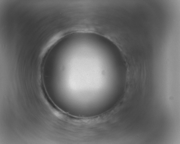 X0000054460005200508121949