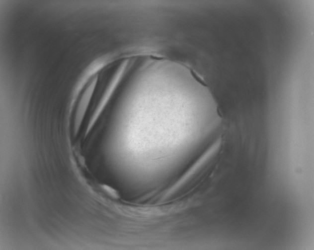 X0000054460006200508121949