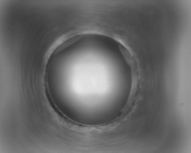 X0000054460007200508121949