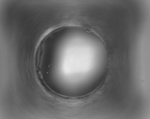 X0000054460008200508121949