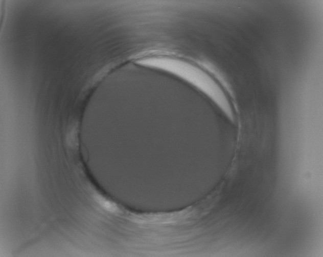 X0000054460009200508121949