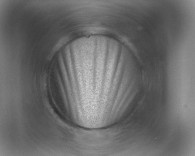 X0000054460010200508121949