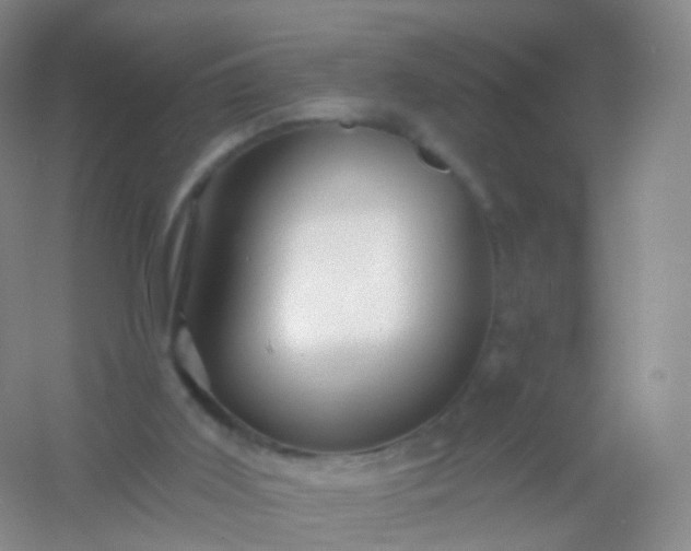 X0000054460011200508121949