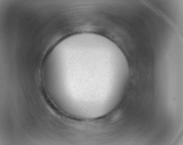 X0000054460012200508121949