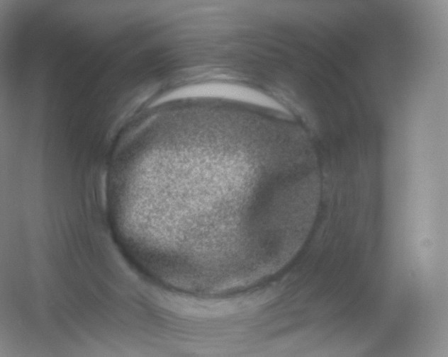 X0000054460014200508121949