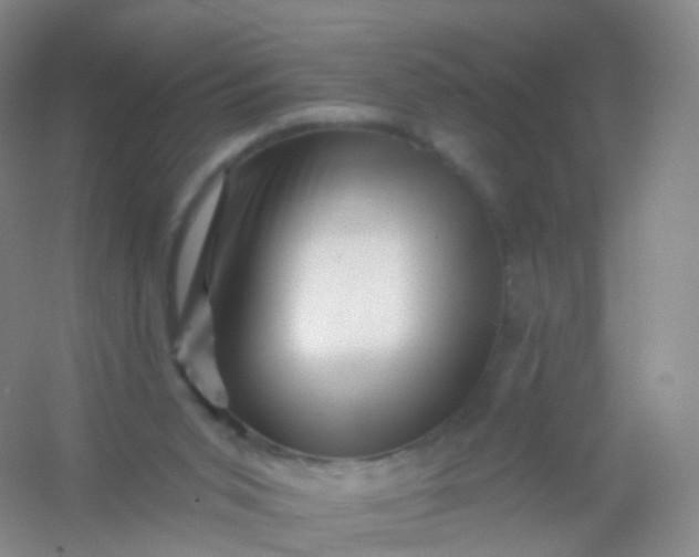 X0000054460015200508121949