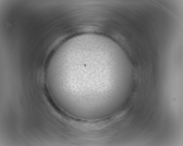 X0000054460016200508121949