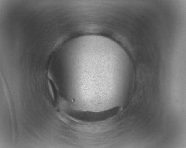 X0000054460017200508121949