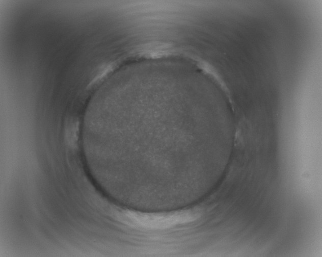 X0000054460018200508121949