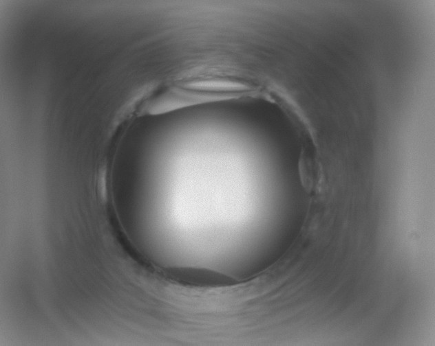 X0000054460019200508121949