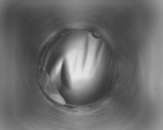 X0000054460020200508121949