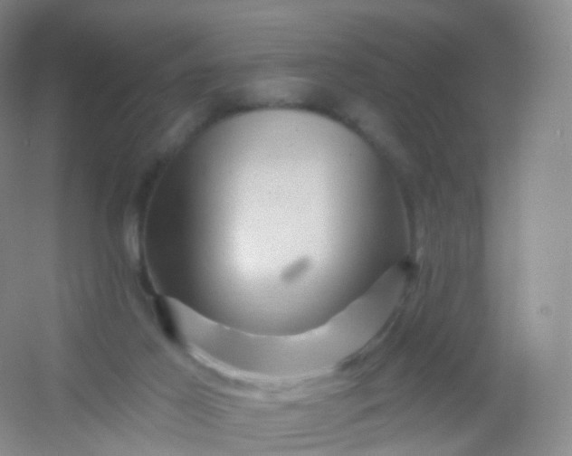 X0000054460021200508121949