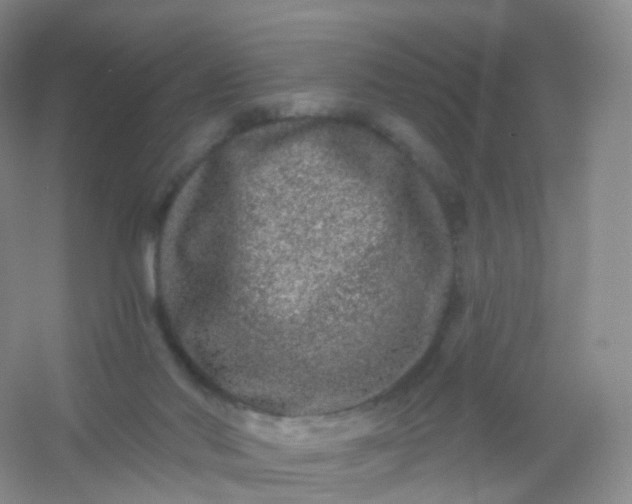 X0000054460022200508121949