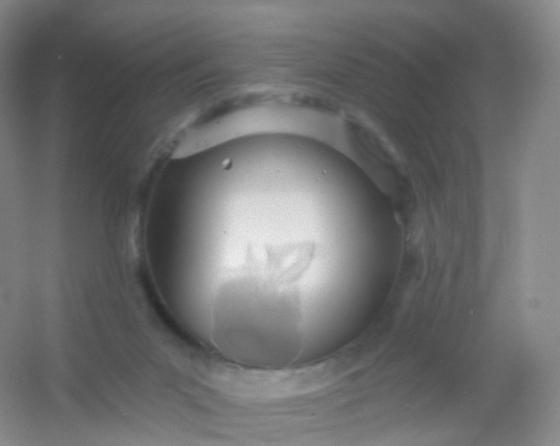 X0000054460023200508121949