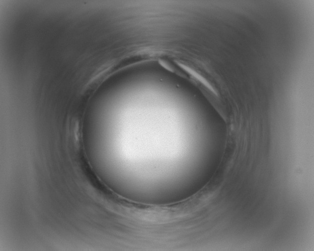 X0000054460024200508121949