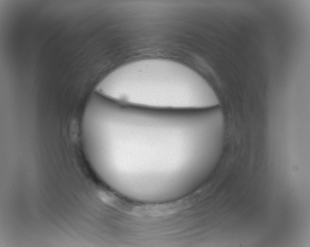 X0000054460025200508121949