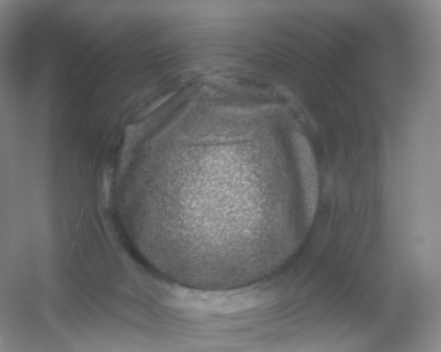 X0000054460026200508121949