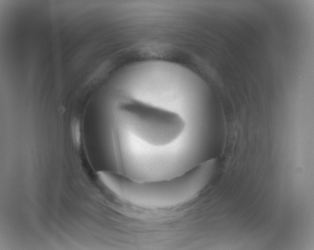 X0000054460027200508121949