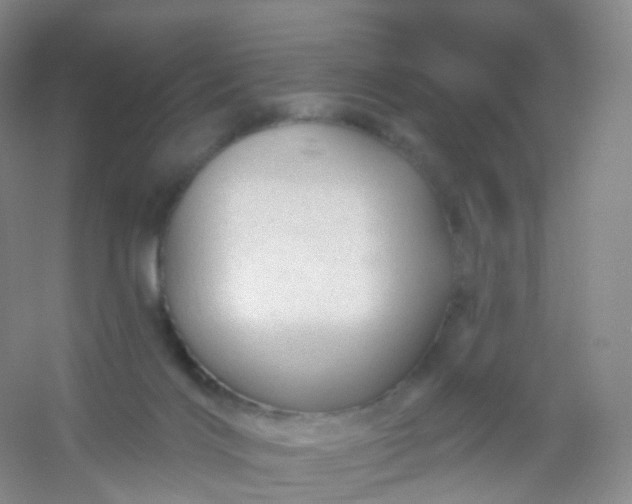 X0000054460028200508121949