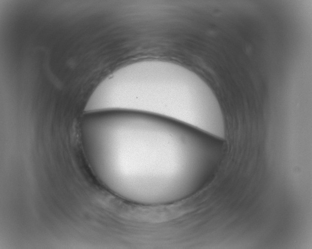 X0000054460029200508121949