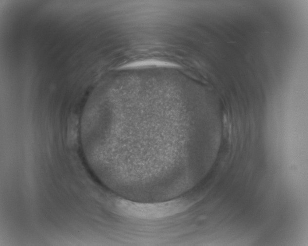 X0000054460030200508121949