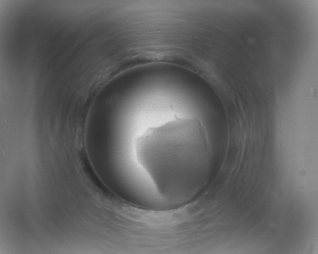 X0000054460031200508121949