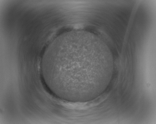 X0000054460032200508121949