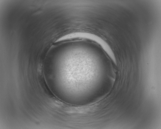 X0000054460033200508121949