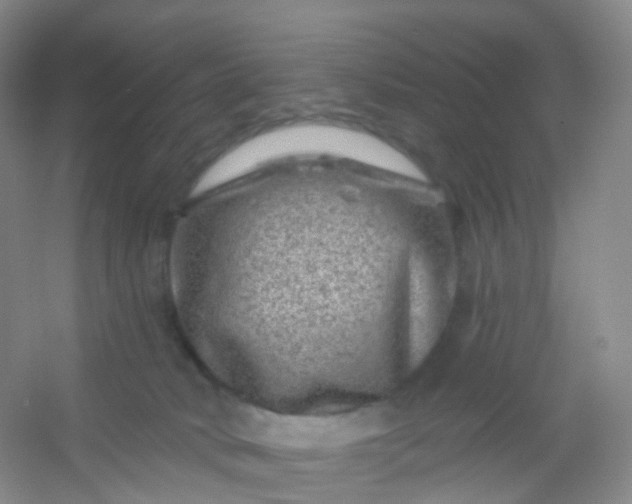 X0000054460034200508121949