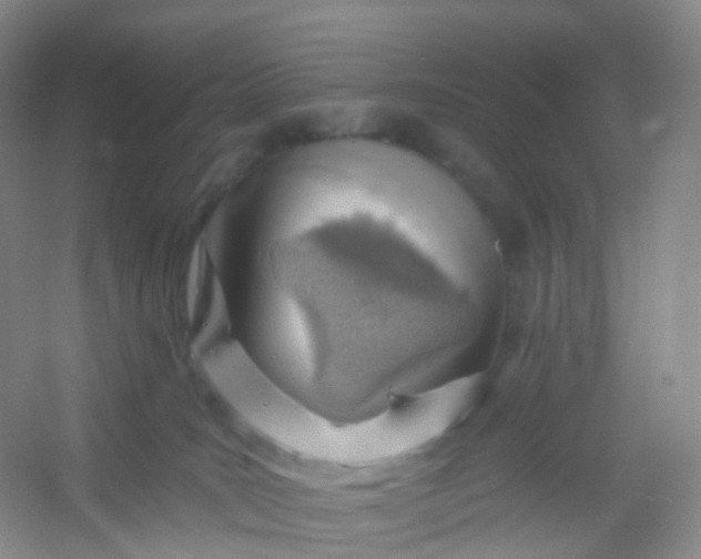 X0000054460035200508121949