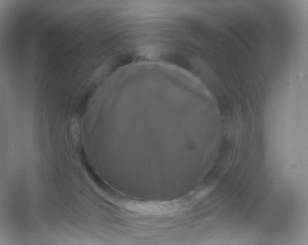 X0000054460036200508121949