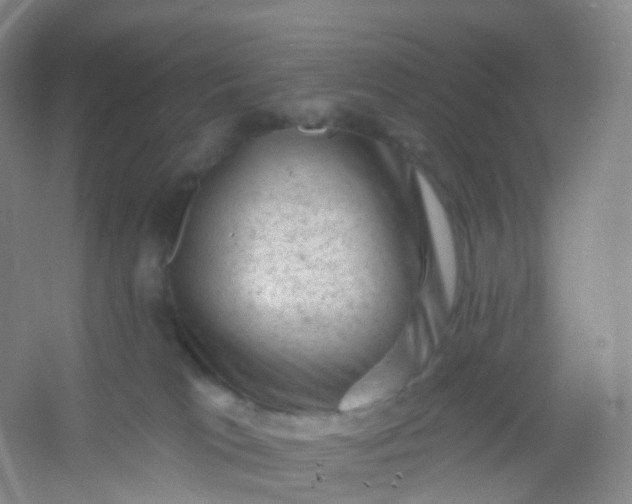 X0000054460037200508121949