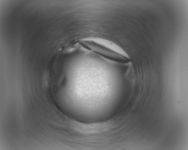 X0000054460038200508121949