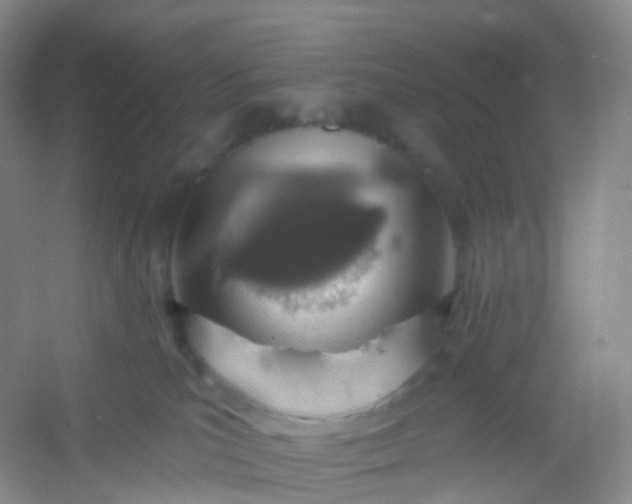 X0000054460039200508121949