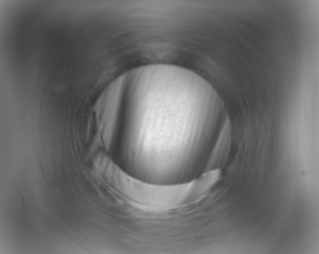 X0000054460040200508121949