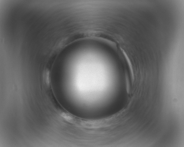 X0000054460041200508121949