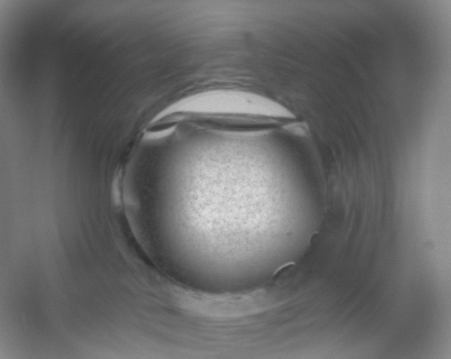 X0000054460042200508121949