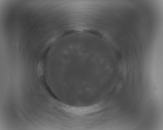 X0000054460043200508121949