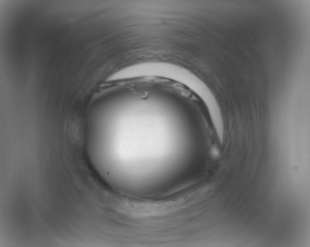 X0000054460044200508121949