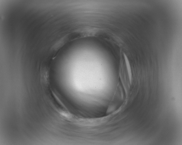 X0000054460045200508121949