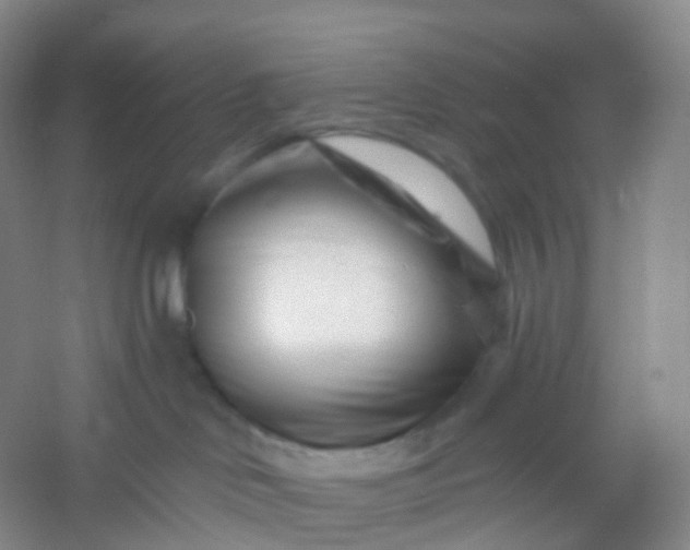 X0000054460046200508121949