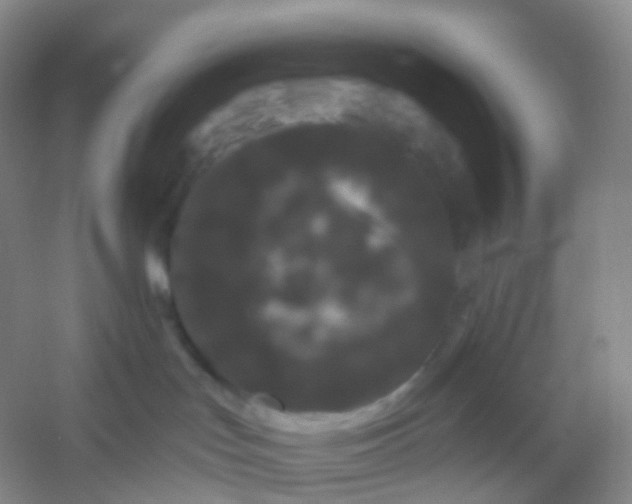 X0000054460047200508121949