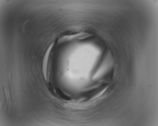 X0000054460048200508121949