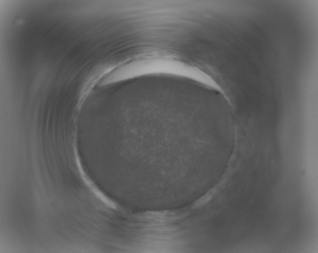 X0000054460049200508121948